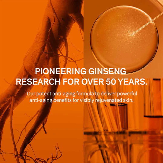 Sulwhasoo Concentrated Ginseng Renewing Cream Soft EX 60ml